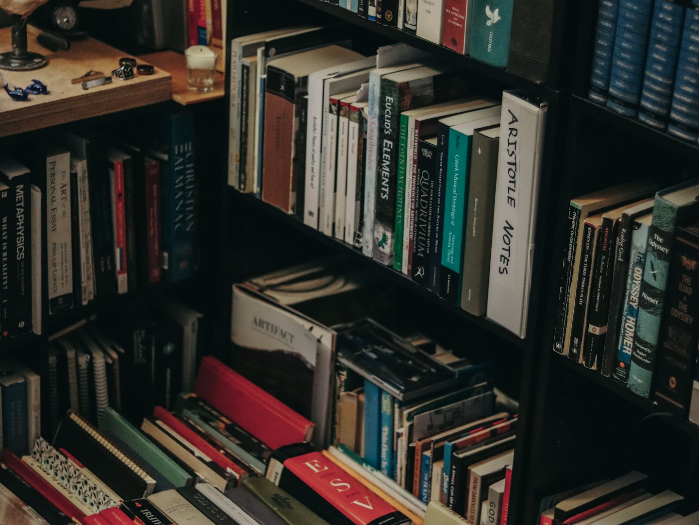 Scaffali scuri in legno pieni di libri di letteratura classica e filosofia.